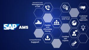 Operate & Innovate with SAP Application Management Services